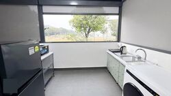 Westville (D22), Terrace #620740901